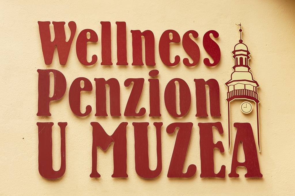 Wellness Penzion U Muzea Hotel Liberec Ngoại thất bức ảnh